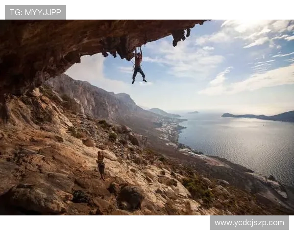 成都攀岩队在极限运动联赛中的团队协作表现分析与点评