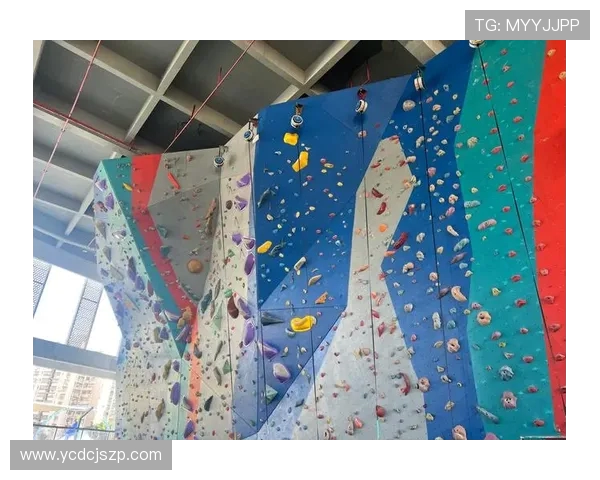 杭州攀岩队实力崭露头角荣登全国攀岩实力排行榜第八名 杭州攀岩队实力崭露头角荣登全国攀岩实力排行榜第八名