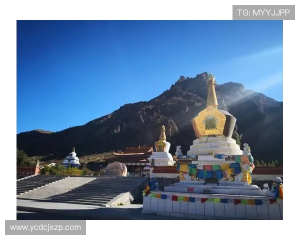 极限挑战与梦想追逐:上海极限运动队的奋斗与荣耀之路 极限挑战与梦想追逐:上海极限运动队的奋斗与荣耀之路