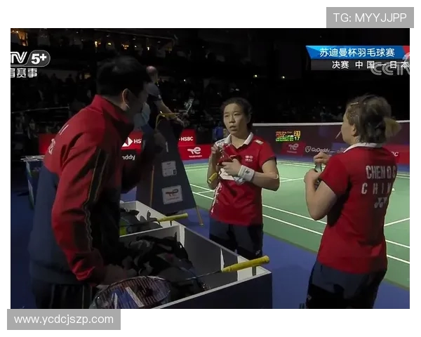 深入分析成都羽毛球队快攻战术的独特魅力与实战应用