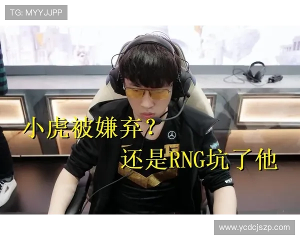 热议和平精英：RNG战队如何实现技术革新与战术升级