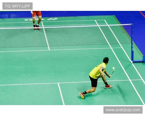 羽毛球深度解析：杭州羽毛球队反击战术与训练秘诀揭秘