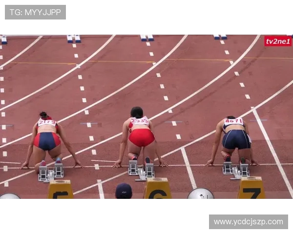 重庆排球队耐力训练的科学分析与实践探索 重庆排球队耐力训练的科学分析与实践探索