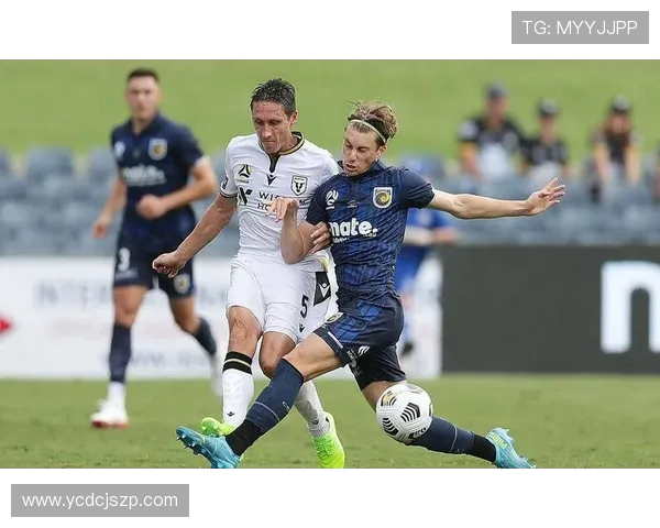 惠灵顿凤凰与西悉尼流浪者精彩对决直播全程回顾与分析 惠灵顿凤凰与西悉尼流浪者精彩对决直播全程回顾与分析