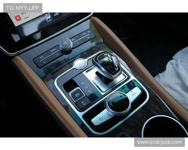 独家解析西安排球队比赛经验的差异与影响分析