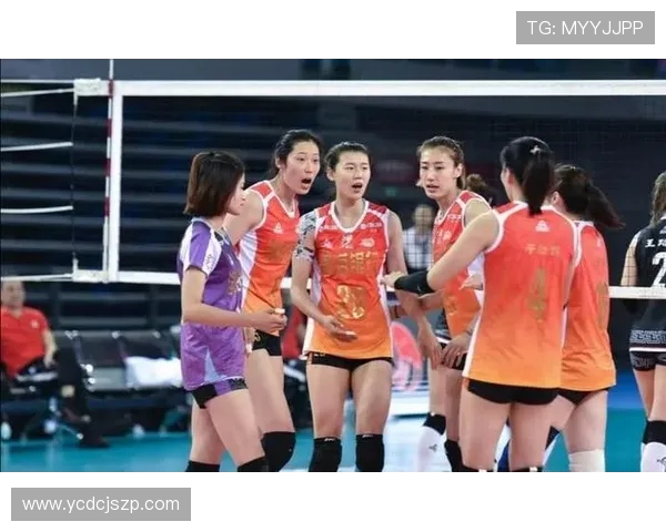 广州排球队荣登排球配合排行榜第三名展现实力与团队默契