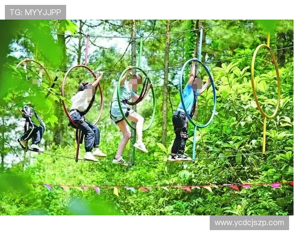 杨磊独家揭秘极限运动的乐趣与挑战分享心得与技巧